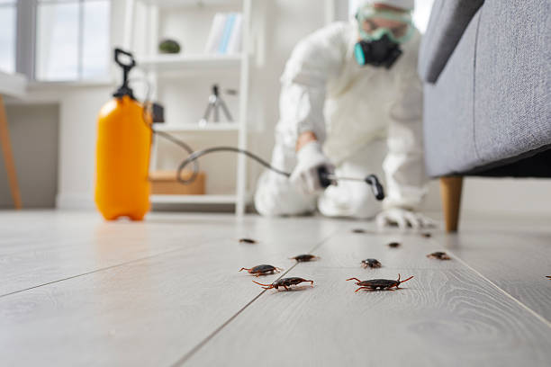 Commercial Kitchen Cockroach Control in Waldorf